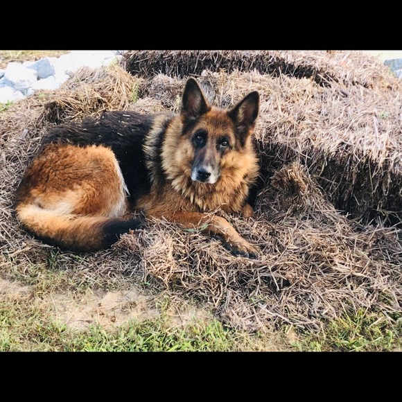 Welcome to my New & Vintage Closet! - Picture 7 of 13